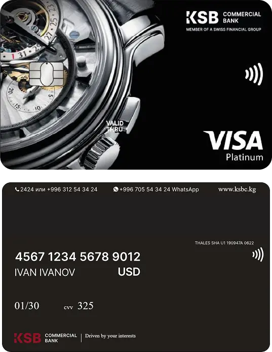 VISA PLATINUM