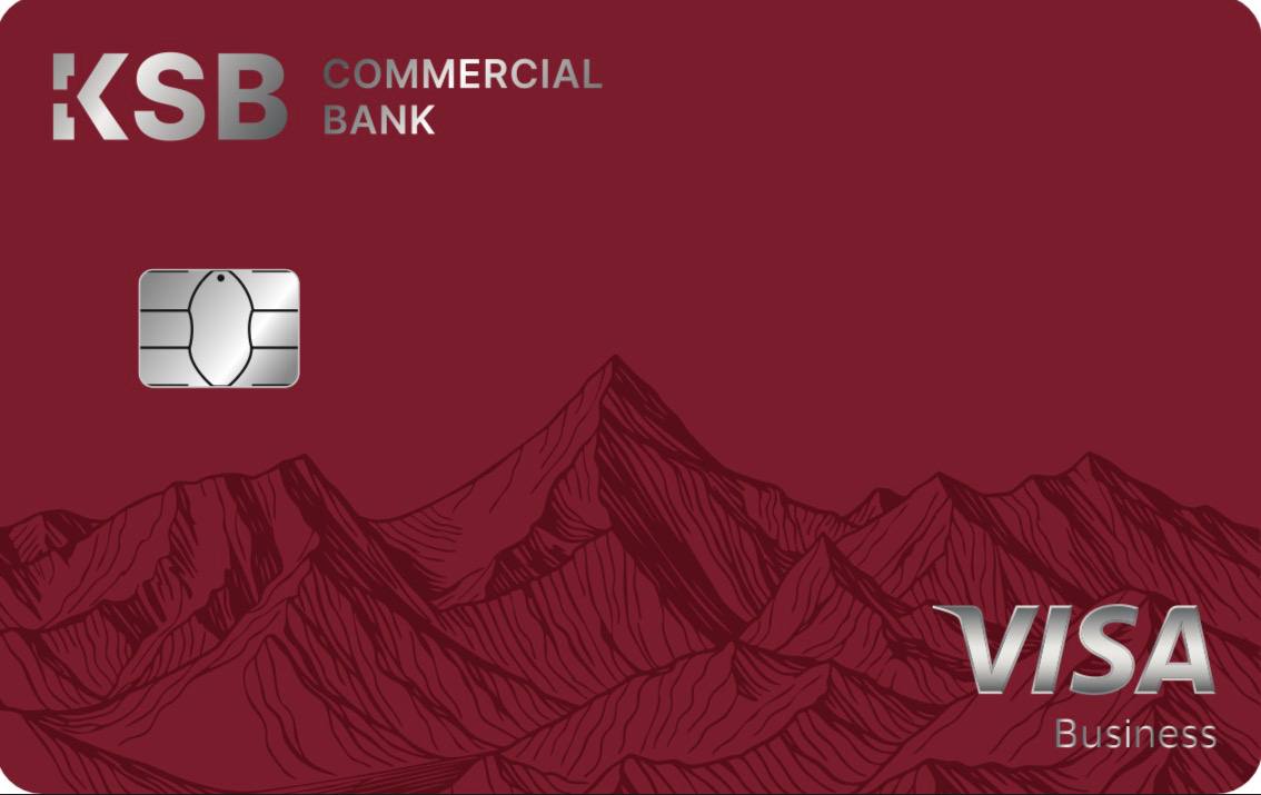 Visa Business Standard